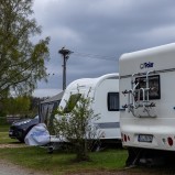 Vit stork, Vinslövs Camping III 250425 (kopia)