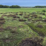 Hörlinge ängar utsikten I 250513 (kopia)