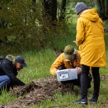 Småkrypsgruppen I 250527 (kopia)