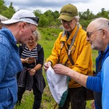 Naturvårdsdag Hovdala VI 250601 (kopia)