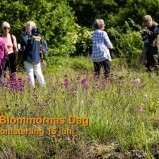 Vinslövs blomsteräng I 250615 INTRO (kopia)