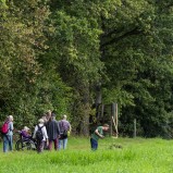 Småkrypsgruppen I 250812 (kopia)