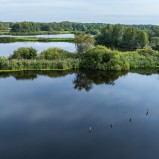 Magle våtmark, damm C3 mot öster I 250828 (kopia)