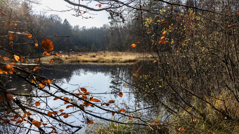 Svartakärr inom Hovdalaområdet