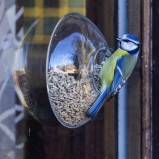 Blåmes op foderautomat I 251018 (kopia)