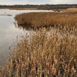 Slingra dig II 251203 (kopia)