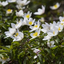 Aktuella bilder från 2023:1