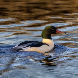 Aktuella bilder från 2023:2