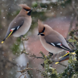 226F9B9C-41DC-4DC9-B739-CDB1F1910BBF