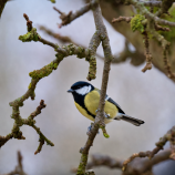 ECC105E8-0446-4FDD-8887-0D47CA876DF5