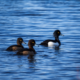 6D29EC5F-2949-4EAB-BC9B-066FDEC3A059