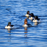 01BA2537-B015-483E-B251-FD3223348074