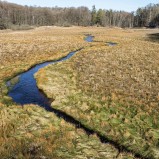 Hammarmölledamm IV 260305 (kopia)