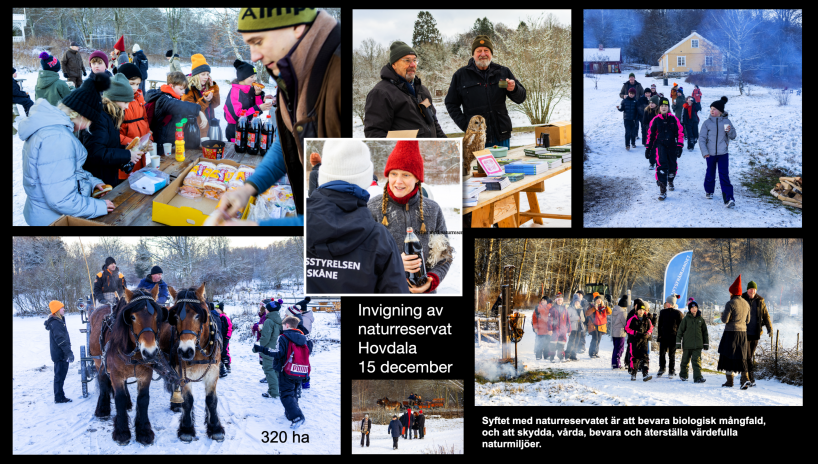 Invigning av naturreservat Hovdala den 15 december 2022; härligt vinterväder!