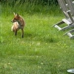 IMG_881311
