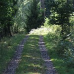 väg