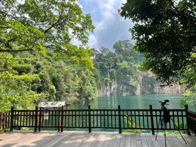 Tomas, som bodde i Singapore under ett par år,  berättar om  stadens  rika natur- och fågelliv.