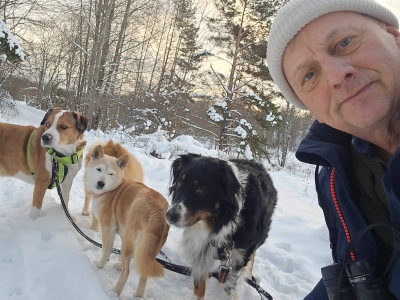 Laget 4 underdogs - Aira, Milo, Titus, Nikki, Tom Arnbom - kom på andra plats med 37 arter ...