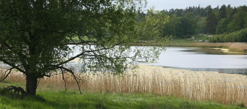Lämshaga, från södra sidan. Maj. Foto: Eva Stenvång Lindqvist