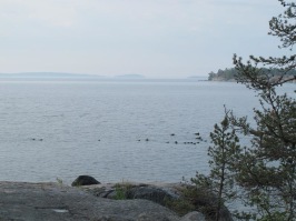 Utsikt mot Nämdöfjärden. Foto: Sven Faugert