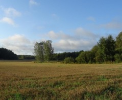 Södra Säbyfälten. Foto Sören Bevmo