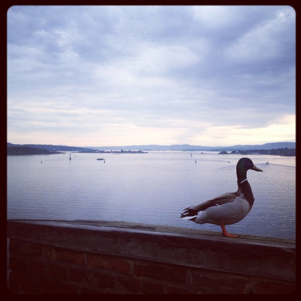 By the beautiful waterside of Oslo! By the beautiful waterside of Oslo!