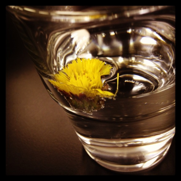 Flower from my daughter in my dressing room at Folkoperan! Flower from my daughter in my dressing room at Folkoperan!