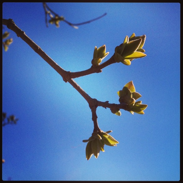 Beautiful Springtime!! Beautiful Springtime!!
