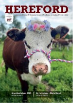 Klicka på bilden för att läsa hela tidningen! (PDF)