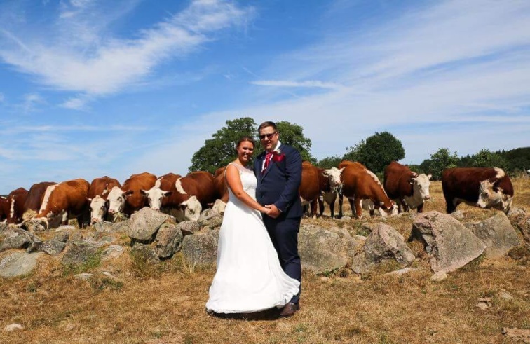 Månadens bild juli. Vi gratulerar Pernilla och Oskar Caster! Skicka ditt bidrag till tobias.helmin@hereford.nu. Bilden skall vara liggande, och spegla årstiden. Månadens bild juli. Vi gratulerar Pernilla och Oskar Caster! Skicka ditt bidrag till tobias.helmin@hereford.nu. Bilden skall vara liggande, och spegla årstiden.