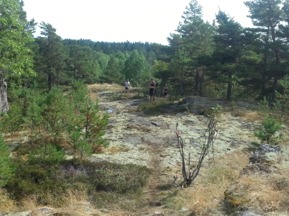 Min Garmin mätte 200 höjdmeter och då missade jag en hel del löpning. Men ni ser backen i bakgrunden! Min Garmin mätte 200 höjdmeter och då missade jag en hel del löpning. Men ni ser backen i bakgrunden!