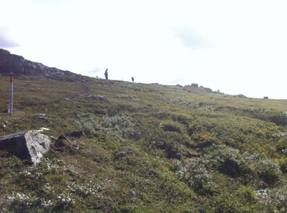 Det magiska berget Det magiska berget