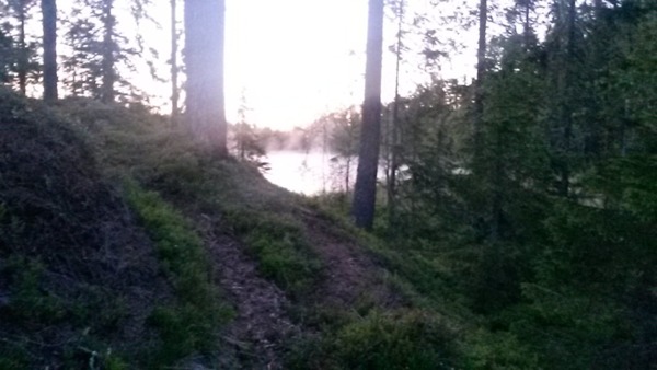 En lätt dimma över den lilla skogstjärnen. En lätt dimma över den lilla skogstjärnen.