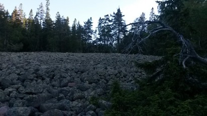 Klapperstensfält i Skuleskogen Klapperstensfält i Skuleskogen