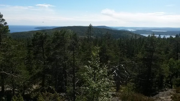 Jag nådde matstationen i Fjärdbotten strax före kl 16. Även här försökte jag vara snabb och inte stå och tappa tid. Bytte flaskor hos min föräldrar och tog några nävar smågodis och gav mig snabbt ut. Jag nådde matstationen i Fjärdbotten strax före kl 16. Även här försökte jag vara snabb och inte stå och tappa tid. Bytte flaskor hos min föräldrar och tog några nävar smågodis och gav mig snabbt ut.