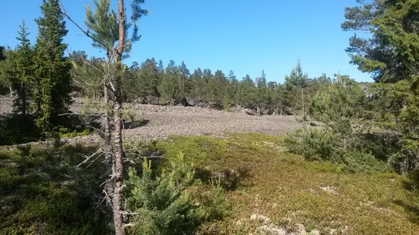 Dessa stenfält behövde vi lyckligtvis inte springa över. Dessa stenfält behövde vi lyckligtvis inte springa över.