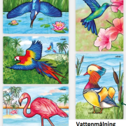 Vattenmålning Exotiska fåglar 5-pack