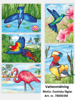Vattenmålning Exotiska fåglar 5-pack - Vattenmålning Exotiska fåglar 5 pack