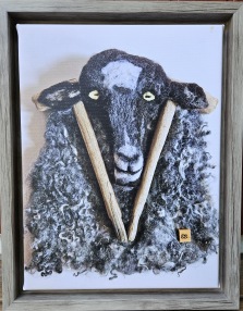 Lammet tittar ut med ram Lammet tittar ut med ram