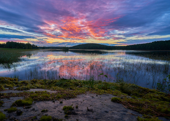 Ruotsalaiset mainitsivat Suomen kauniin luonnon useasti tuktimuksessa. Kuva: Tommi Saltiola / Unsplash. Ruotsalaiset mainitsivat Suomen kauniin luonnon useasti tuktimuksessa. Kuva: Tommi Saltiola / Unsplash.