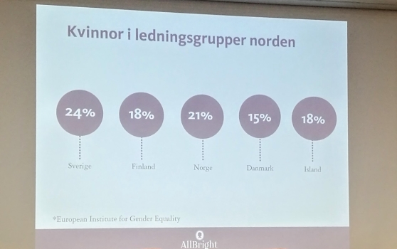 Elinkeinoelämän huipulla on vielä selvästi vähemmän naisia. Elinkeinoelämän huipulla on vielä selvästi vähemmän naisia.