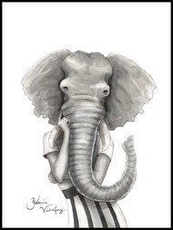 Elephant woman Elephant woman
