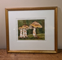 Tavla med svampmotiv, Kerstin McKee. Rammått 39,5x35 cm. Bildmått (innermått passepartout) 23,5x18 cm. Fint skick. 300 SEK