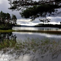 Laxsjön, Närke_BIA7585_005243