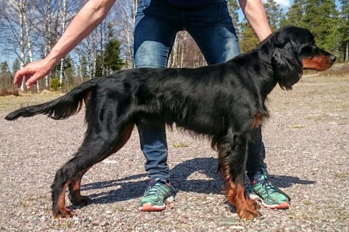 Qvality 15mån Qvality 15mån