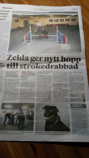 Ur Hallandsposten, tidigare i år. Jenny var mycket stolt över detta och vi är tacksamma över att reportaget hann genomföras. Tack Jenny för allt du lärde oss. Du fattas oss. Ur Hallandsposten, tidigare i år. Jenny var mycket stolt över detta och vi är tacksamma över att reportaget hann genomföras. Tack Jenny för allt du lärde oss. Du fattas oss.