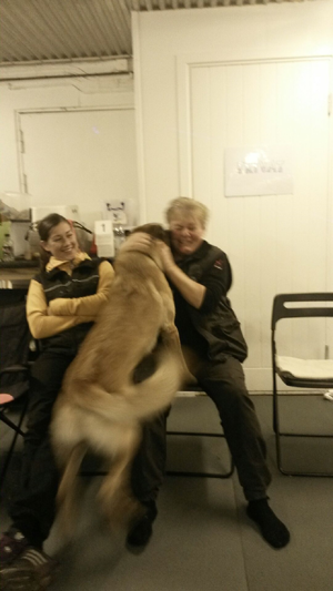 En av kennelägarna, Birgitta Hedenberg, gratuleras av en av "valparna" då hon på förmiddagen klarat appellen med sin egen hund Kalle på fina 288 poäng. En av kennelägarna, Birgitta Hedenberg, gratuleras av en av "valparna" då hon på förmiddagen klarat appellen med sin egen hund Kalle på fina 288 poäng.