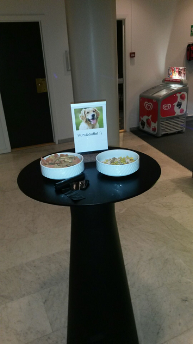 Scandic såg till att gästerna med hund kände sig välkomna! Scandic såg till att gästerna med hund kände sig välkomna!