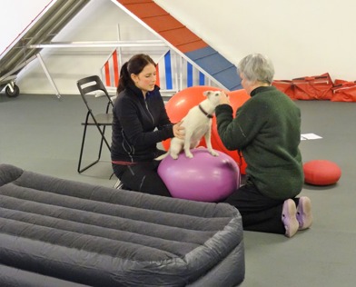 ...till exempel luftmadrasser och pilatesbollar... ...till exempel luftmadrasser och pilatesbollar...