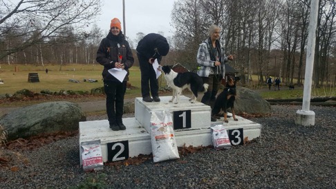 "Kolla Pingu vad många poäng vi fick"! (Tack Carina för bilden! :-)) "Kolla Pingu vad många poäng vi fick"! (Tack Carina för bilden! :-))